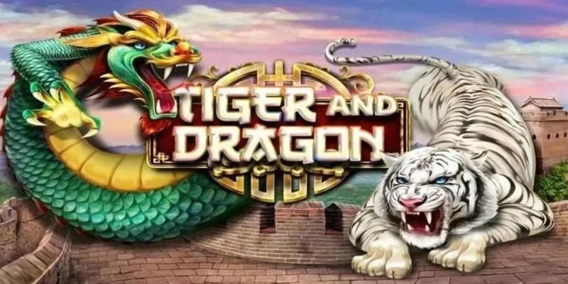 Hướng dẫn chơi rồng hổ cơ bản tại ip88