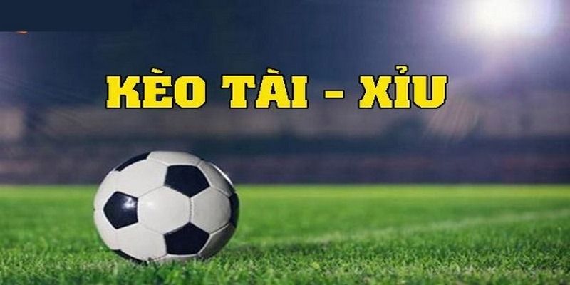 Phân loại kèo tài xỉu thường gặp tại ip88