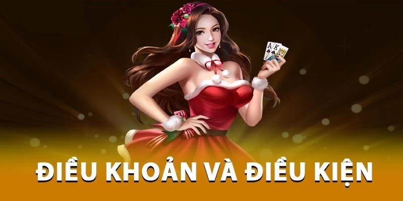 Tổng quan về điều khoản điều kiện ip88